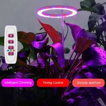 Fito Lempa LED Grow Light Bar 1T 2T 3T 4T Šiltnamio efektą sukeliančių viso Spektro LED Augalų Lemputė Sodinukai, Gėlių Patalpų Augimą, Žibintai USB