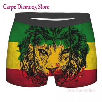 Liūtas Iš Judo Rasta Jamaikos Reggae trumpikes Vyrams 3D Spausdinimo Vyrų Breathbale Rastafarian Meno Apatiniai, Kelnaitės, Trumpikės